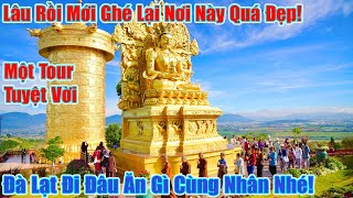 Trở Lại Nơi Đây Quá Đẹp, Đà Lạt Đi Đâu Ăn Gì Hỏi Nhân Nhé!