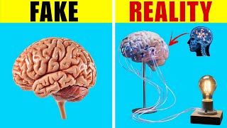 TOP 100 Interesting Facts In Telugu || 10 Facts In Telugu new EP 7 || Telugu Facts || Facts Forever