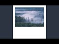 Iron Range Fog