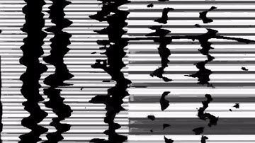 Architeuthis Walks on Land - "2-84°03