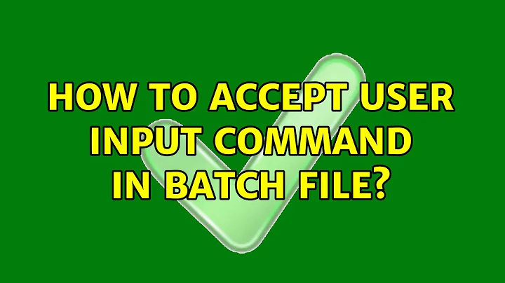 How to accept user input command in batch file?