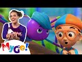 Blippi Wonders | Learn About Spiders! + MORE! | Cartoons For Kids | MyGo! Sign Language For Kids