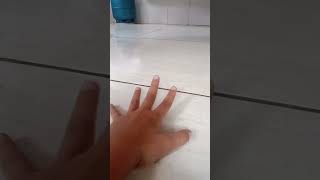 6 de dezembro de 2025