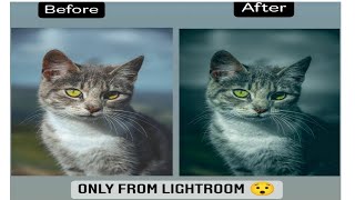 cat Photo Editing lightroom snepseed || #photo #editingtutorial screenshot 3