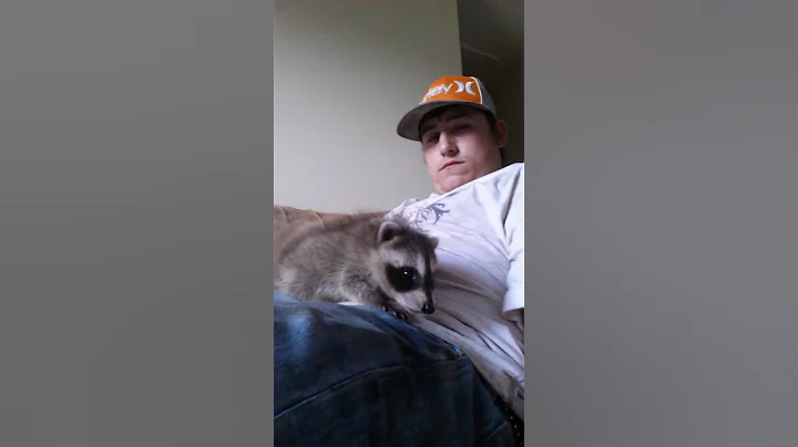 Me and my racoon