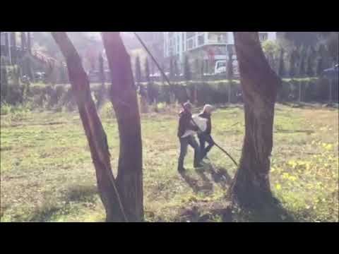 ზოოპარკიდან ვარხვი გაიქცა