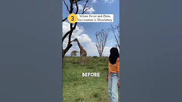 Important Tips Before Planning Your Kenya Trip 