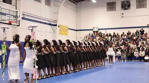 💗 Fisk University AKA New Member Presentation 2025 | Pretty Girls Run the Yard! 💕💚