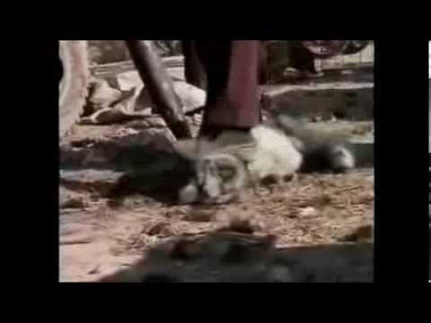 Earthlings Deutsch Earthlings Deutsch