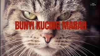 BUNYI KUCING MARAH SOUND EFFECT