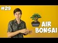 Air Bonsai