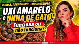 UXI AMARELO E UNHA DE GATO PARA MIOMA, ADENOMIOSE E ENDOMETRIOSE: FUNCIONA MESMO? | Dra. Ariane
