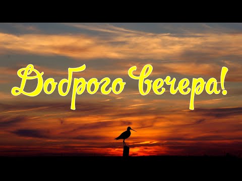 Добрый Вечер! Пятница! Красивое Пожелание Доброго и Прекрасного Вечера!🌷