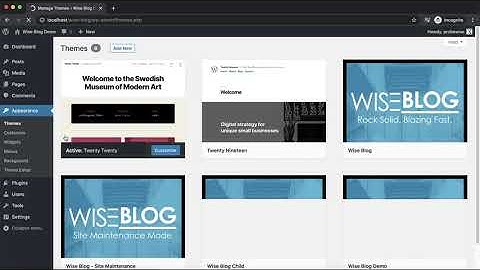 One Click Demo Import WordPress | Wise Blog
