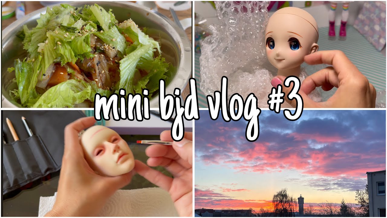₍ᐢ. .ᐢ₎ ₊˚⊹♡ mini bjd vlog 3