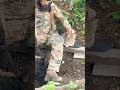 The soldier’s morale booster on the battlefield🐱#military #war #army #cat #cute #shortvideo
