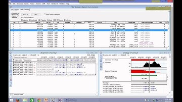 DNASTAR - Assembling and Analyzing Sanger Sequencing Data