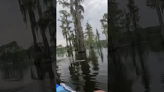 Download Lagu This UNUSED Technique SLAYS Bass! MP3