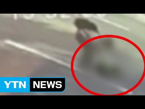 '초등생 뺑소니' 카자흐스탄인 2년 6개월 징역형 / YTN