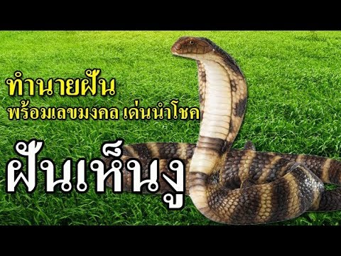 ฝันเห็นงู  ทำนายฝัน พร้อมเลขเด่นนำโชค