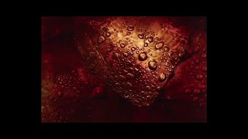 Analyzing how Coca-Cola’s “Share a Coke” campaign turned personalization into a global connection. 