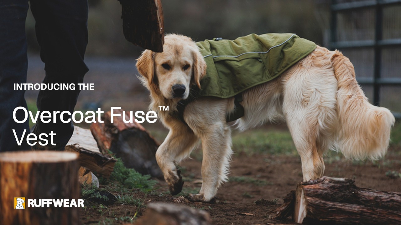Overcoat Fuse™ Insulated Vest | Ruffwear