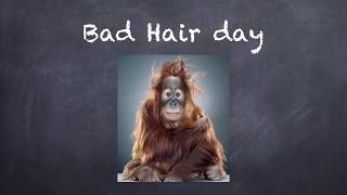 Miniatura del video "Bad Hair Day"