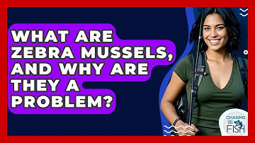 What Are Zebra Mussels, And Why Are They A Problem? - Chasing Big Fish