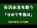『せめて今夜は』/矢沢永吉を歌う_6170 by 自然の恵みに日々感謝