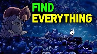 Hollow Knight- How to Find Every Charm, Mask, Soul Fragment and Everything Else