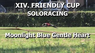 Soloracing Moonlight Blue Gentle Heart - XIV Friendly Cup