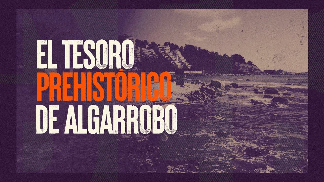 El tesoro prehistórico de Algarrobo: Fósiles de 65 millones de años - #ReportajesT13