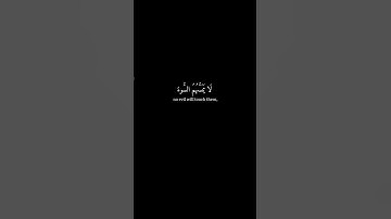 [و ينجي الله الذين اتقوا بمفازتهم..] كرومات قرآن شاشة سوداء - سورة الزمر - عبدالبديع غيلان