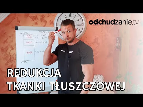 Wideo: Ujemny Bilans Energetyczny W Późnej Ciąży U Fretek