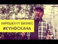 Мыктыбек Арстанбектин күнөсканасы / Мында чоң кеп бар, туугандар!