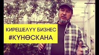 Мыктыбек Арстанбектин күнөсканасы / Мында чоң кеп бар, туугандар!