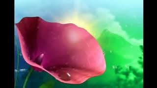 OBB Lintas Pagi - TPI [MNCTV] (2008-2010)