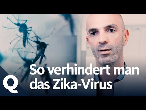 Video: Unternehmen Arbeiten Mit Lokalen Gesundheitsabteilungen Zusammen, Um Zika Zu Bekämpfen