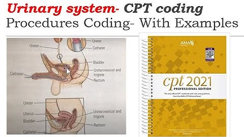 CPT Coding for Urinary system