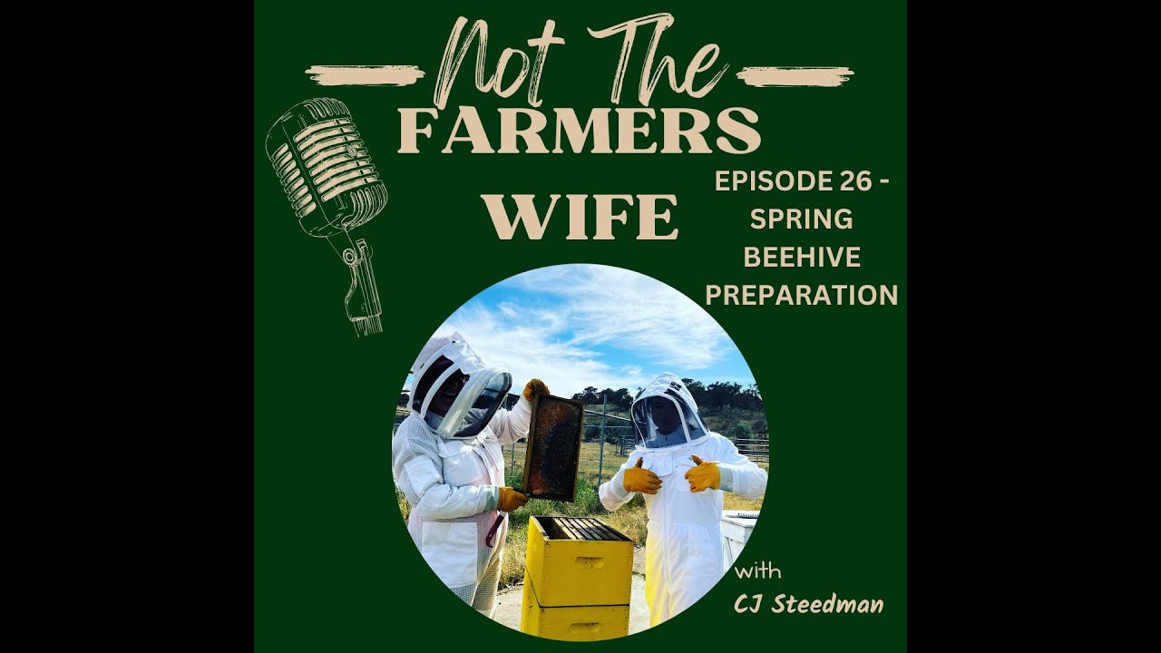 Spring Beekeeping Prep