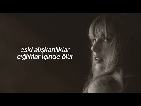 Taylor Swift - The Black Dog (Türkçe Çeviri)