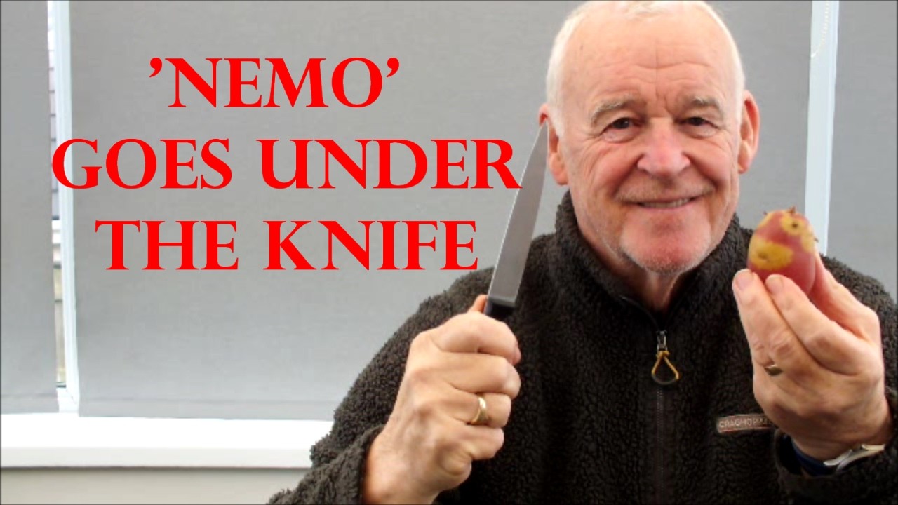 Grow Potatoes. Nemo goes under the Knife. Cut a potato in half growing trial 3 bucket shootout magic