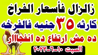 اسعار الفراخ البيضاء اليوم | سعر الفراخ البيضاء اليوم | السبت 10-6-2023 في مصر جمله وقطاعي