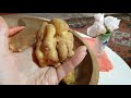 Картошка с минного поля.Potato from the minefield.#сад #мандрагора #море#горы#прогулка#