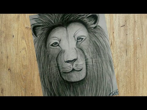 Lion drawing / pencil shading / Priyanka Dream Arts - YouTube