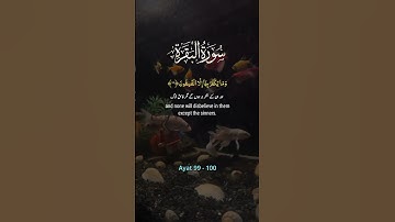 سورة البقرة الآيات 99-100 لقد أنزلنا إليك آيات بينات وما يكفر بها إلا الفاسقون. #المصحف #fypシ゚viral