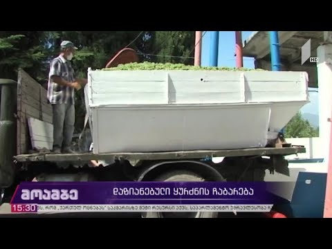 დაზიანებული ყურძნის ჩაბარება