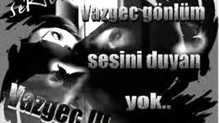 Hamza Şafak Telli̇ Turnam