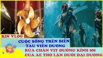 CẬN CẢNH RỬA CHÂN VỊT Đường Kình 8m Của AE Thợ Lặn |  Cuộc Sống Trên Biển | Tàu Viễn Dương