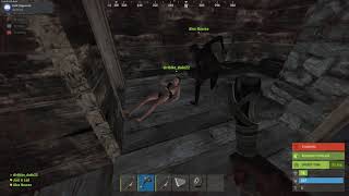 Rust game teamkill